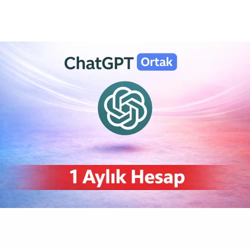  Chatgpt 1 Ay Ortak Hesap